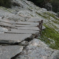 Photo de france - La randonnée du Mont Caroux